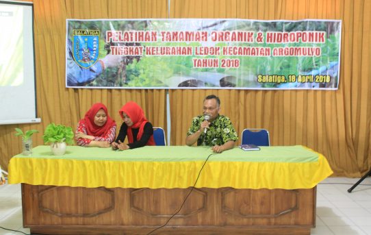 Pelatihan Hidroponik